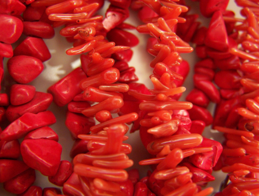 redcoral Red Coral - 3.98 carats